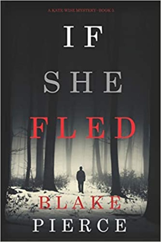 Kate Wise Mystery book cover