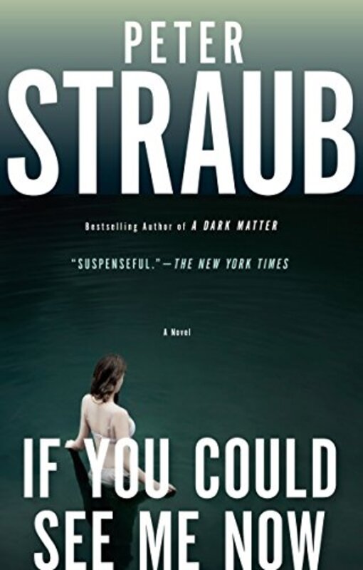 Book cover for "If You Could See Me Now" by Peter Straub
