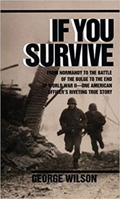 Book cover for "If You Survive" by George Wilson