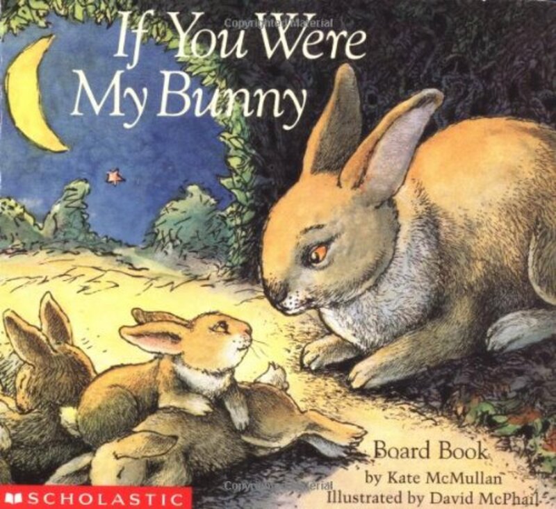 Book cover for "If You Were My Bunny" by Kate McMullan