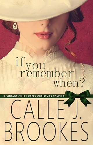 Book cover for "If You Remember When" by Calle J Brookes