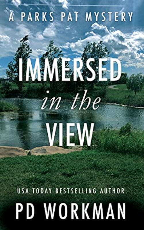 Book cover for "Immersed in the View" by PD Workman