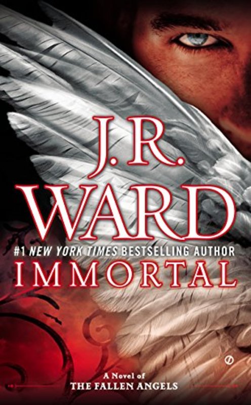 Fallen Angels book cover