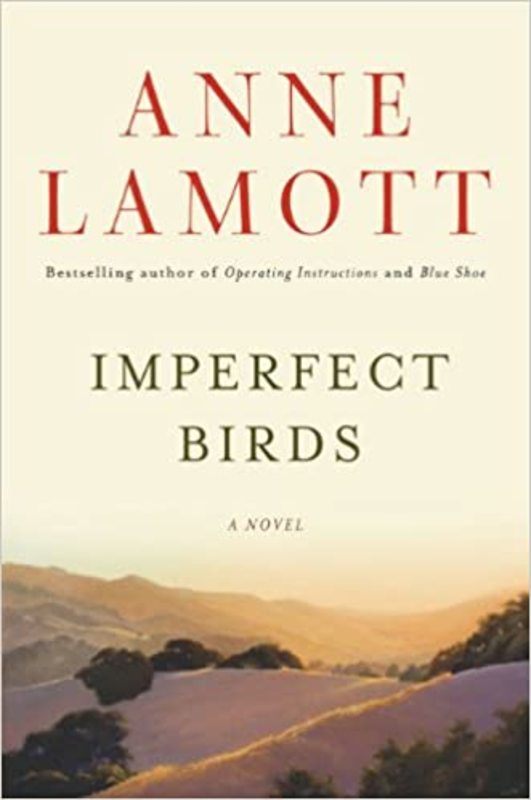 Book cover for "Imperfect Birds"