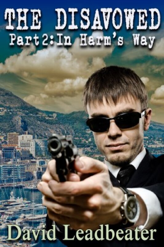Book cover for "In Harm's Way" by David Leadbeater