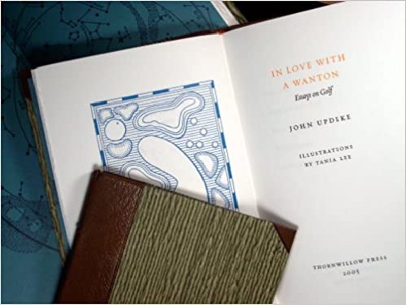 John Updike book cover