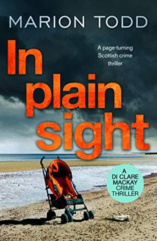 Book cover for "In Plain Sight" by Marion Todd