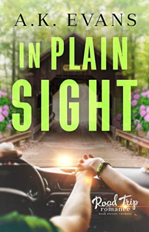 Book cover for "In Plain Sight" by AK Evans