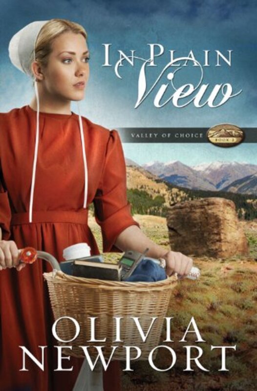 Book cover for "In Plain View" by Olivia Newport