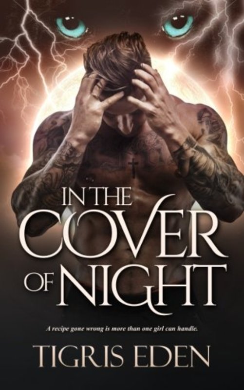 Book cover for "In The Cover of Night" by Tigris Eden