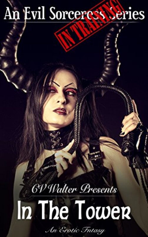 Book cover for "In The Tower" by CV Walter