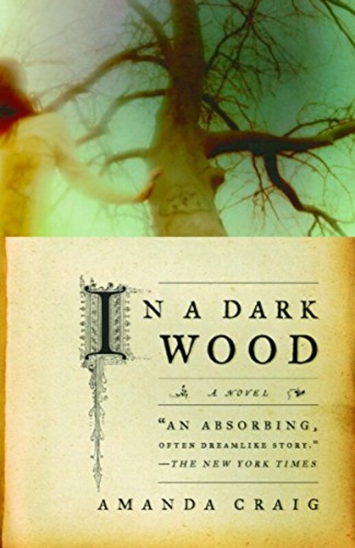 Book cover for "In a Dark Wood" by Amanda Craig