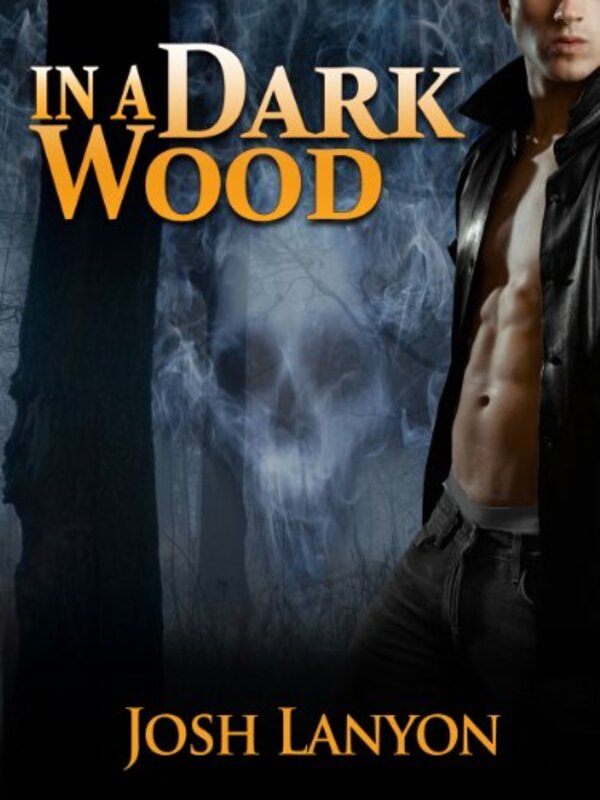 Book cover for "In a Dark Wood" by Josh Lanyon