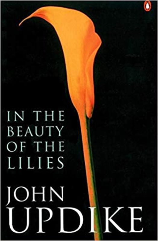 Book cover for "In the Beauty of the Lilies" by John Updike