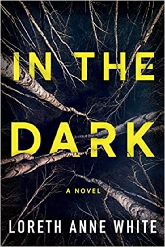 Book cover for "In the Dark" by Loreth Anne White
