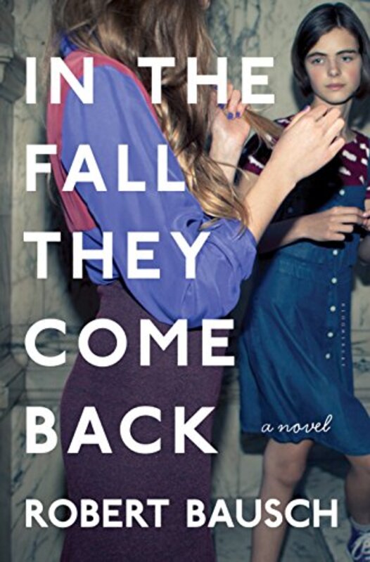 Robert Bausch book cover