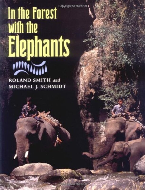 Book cover for "In the Forest with the Elephants" by Roland Smith