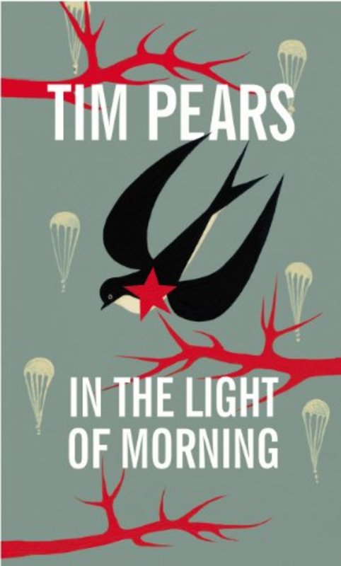 Book cover for "In the Light of Morning" by Tim Pears