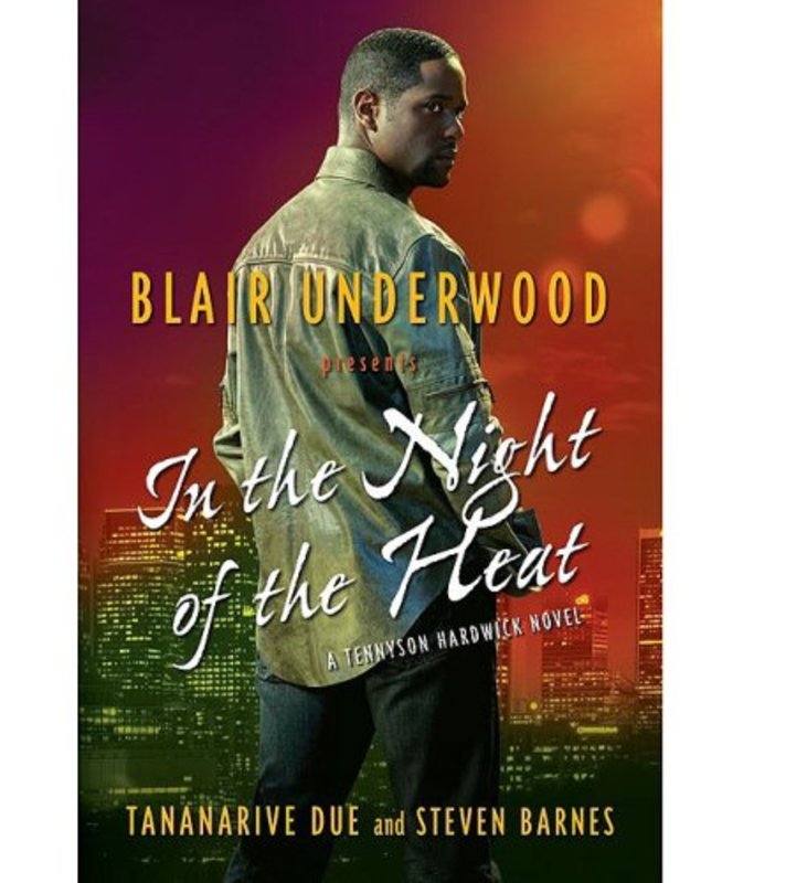 Book cover for "In the Night of the Heat" by Tananarive Due