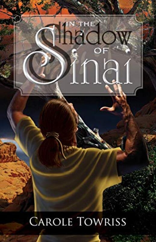 Book cover for "In the Shadow of Sinai" by Carole Towriss