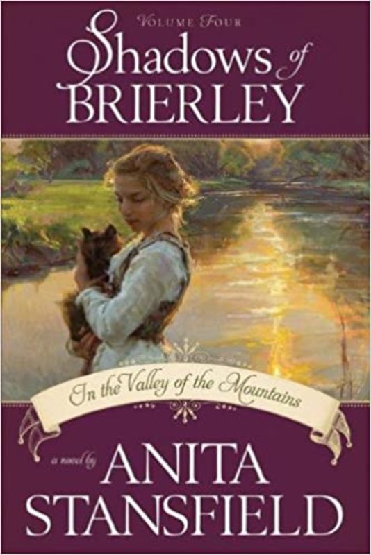 Book cover for "In the Valley of the Mountains" by Anita Stansfield