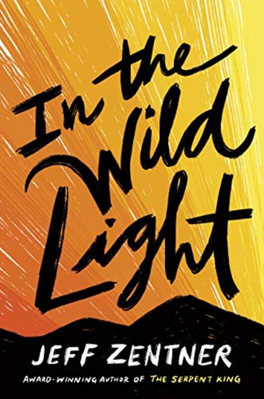 Jeff Zentner book cover