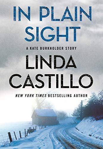 Book cover for "In Plain Sight" by Linda Castillo