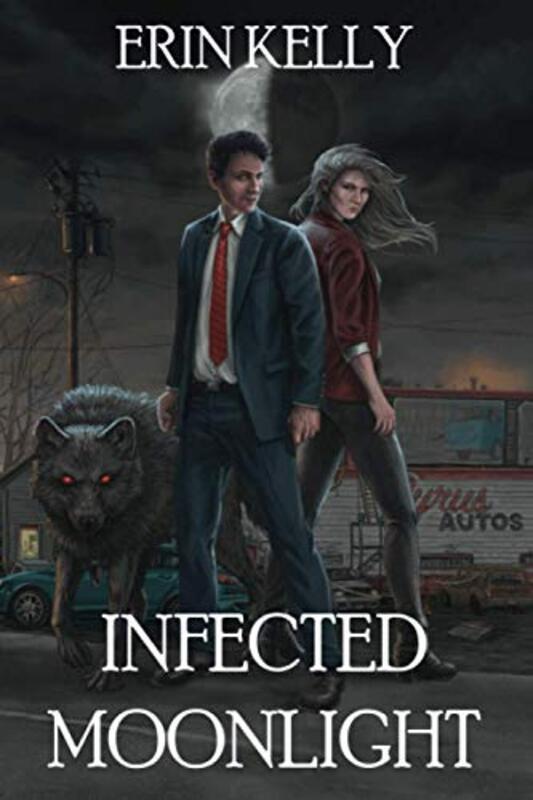 Erin Kelly book cover
