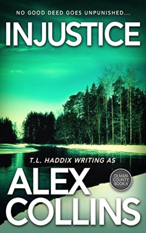 Book cover for "Injustice / Hidden in the Shadows" by TL Haddix