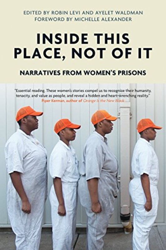 Ayelet Waldman book cover