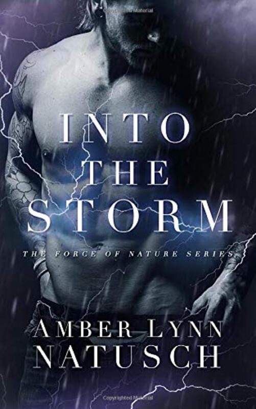 Book cover for "Into The Storm" by Amber Lynn Natusch