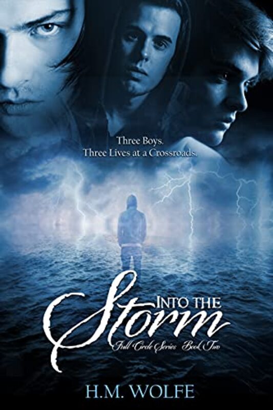 Book cover for "Into The Storm" by HM Wolfe