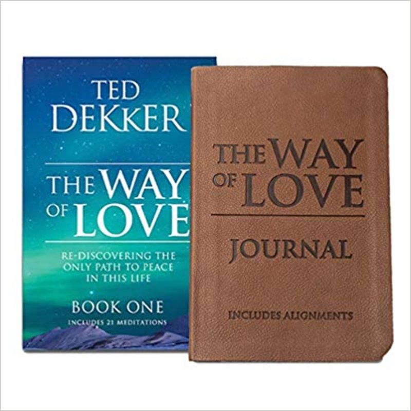 Book cover for "Into the Book of Light" by Ted Dekker