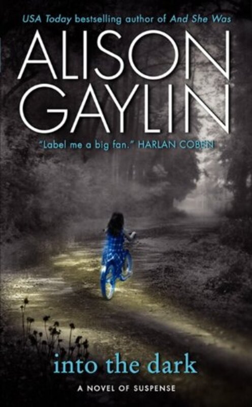 Book cover for "Into the Dark" by Alison Gaylin