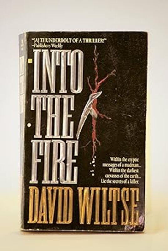Book cover for "Into the Fire" by David Wiltse
