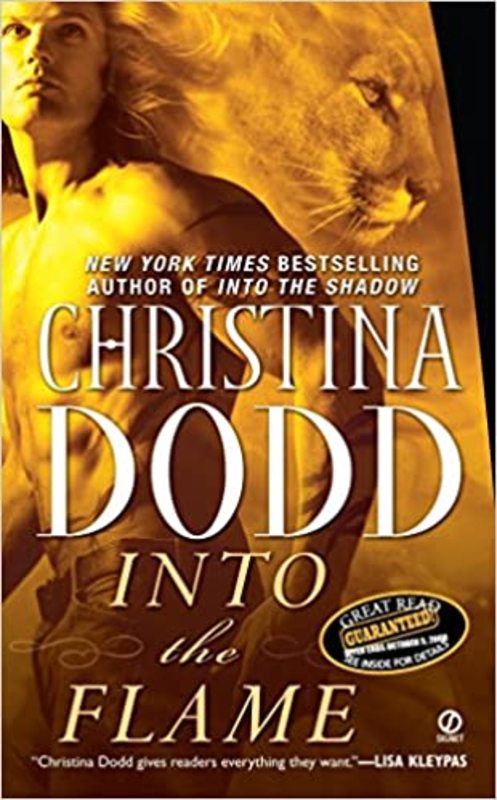 Book cover for "Into the Flame" by Christina Dodd