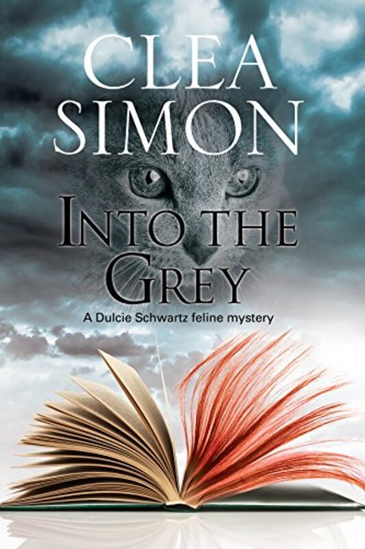 Book cover for "Into the Grey" by Clea Simon