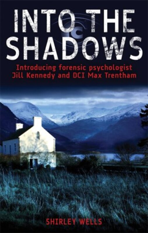 Book cover for "Into the Shadows" by Shirley Wells