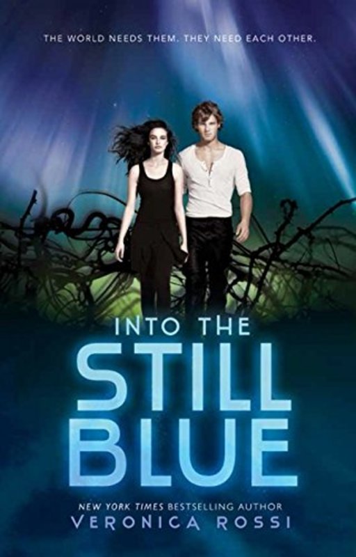 Under the Never Sky book cover