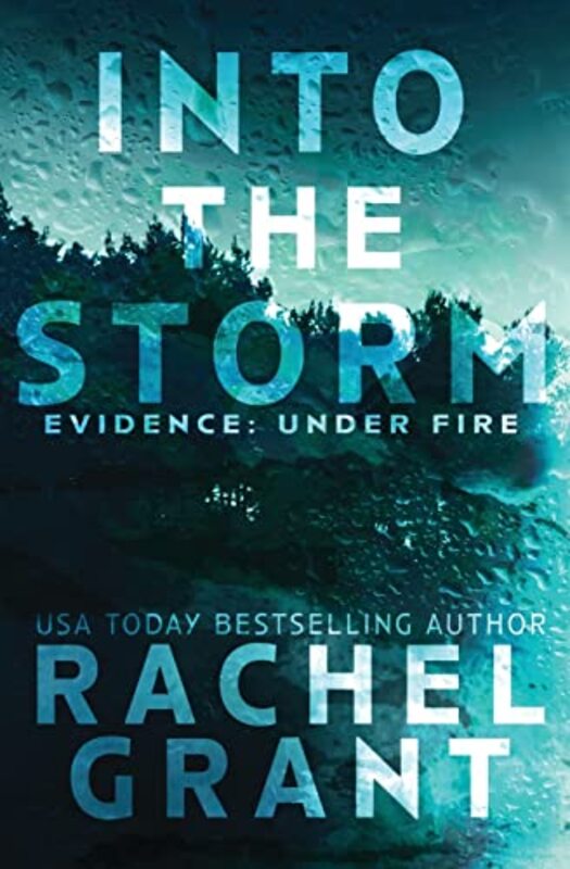Book cover for "Into the Storm" by Rachel Grant