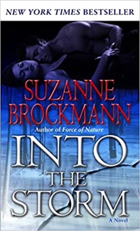 Book cover for "Into the Storm" by Suzanne Brockmann