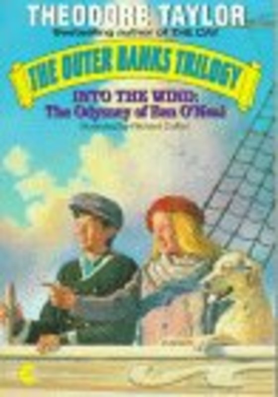 Book cover for "Into the Wind" by Theodore Taylor