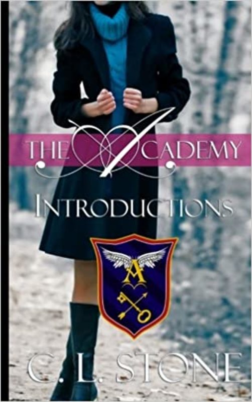 Book cover for "Introductions" by C L Stone