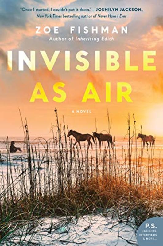 Book cover for "Invisible as Air" by Zoe Fishman