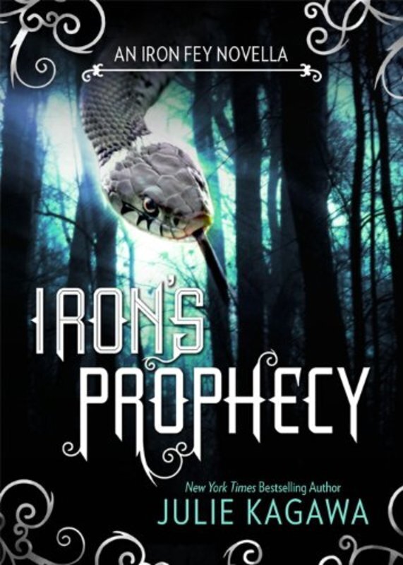 The Iron Fey book cover