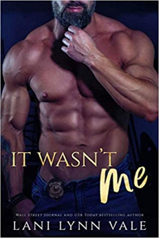 Book cover for "It Wasn't Me" by Lani Lynn Vale