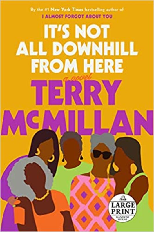 Terry McMillan book cover