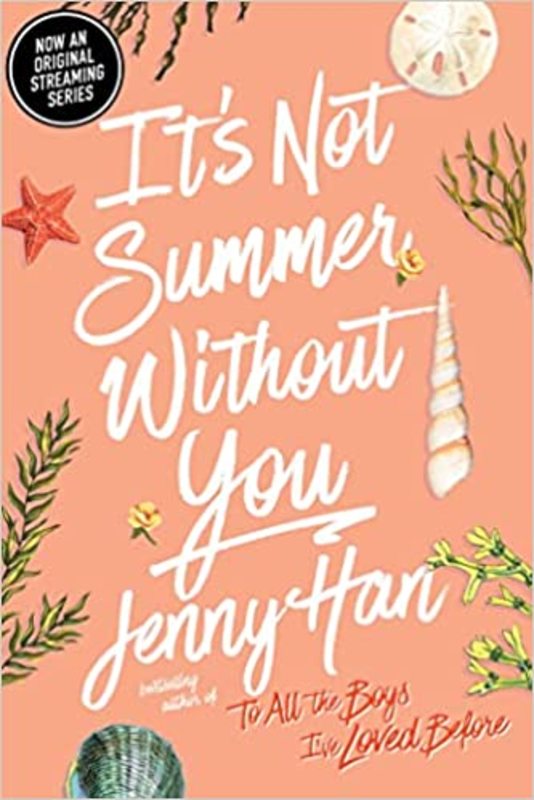 The Summer I Turned Pretty book cover