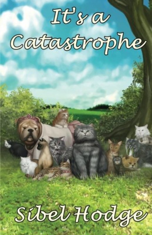Book cover for "It's a Catastrophe" by Sibel Hodge