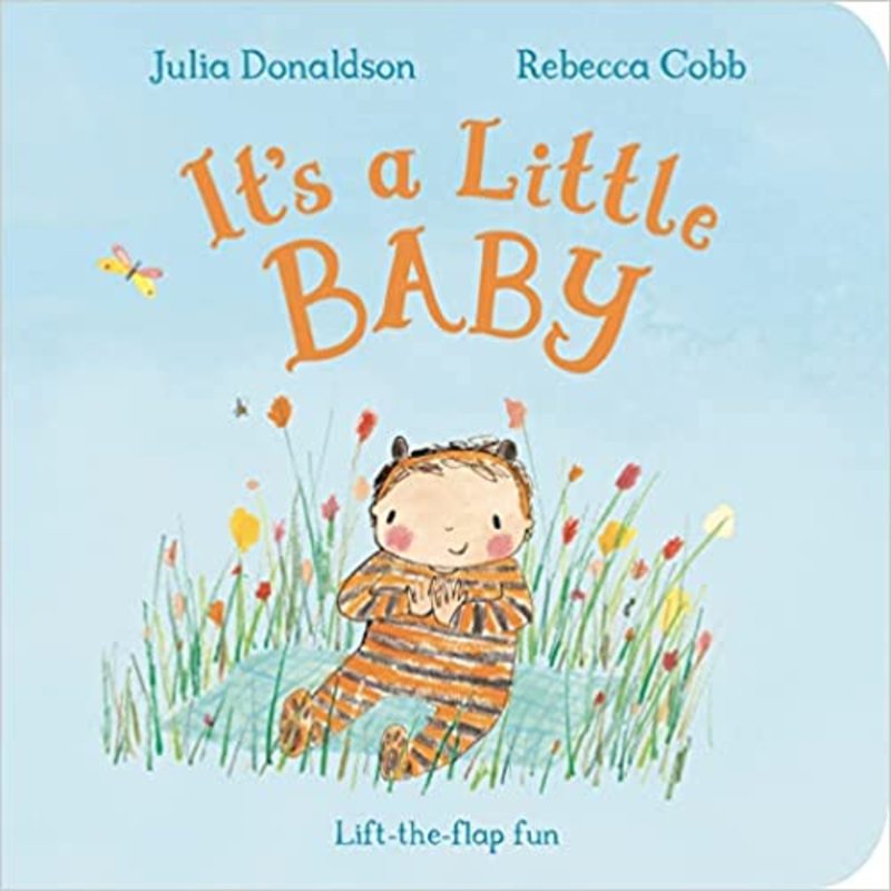 Book cover for "It's a Little Baby" by Julia Donaldson